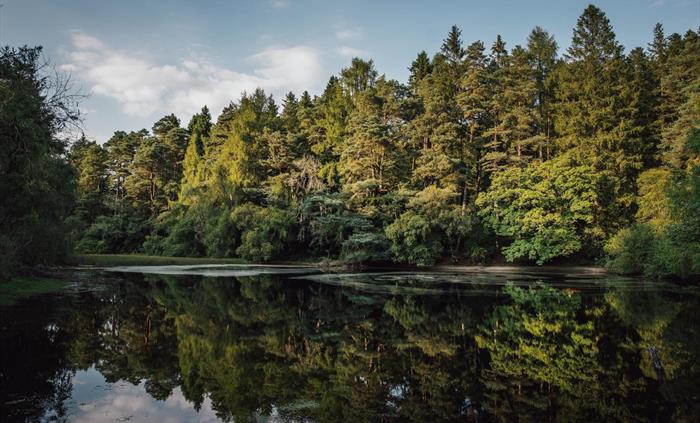 Bod Petryal, Clocaenog Forest